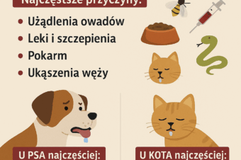 Wstrząs anafilaktyczny u psów i kotów